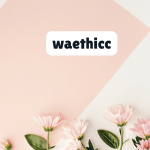 Exploring Waethicc: The New Trend on the Internet