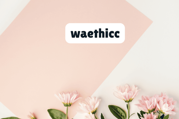 Exploring Waethicc: The New Trend on the Internet