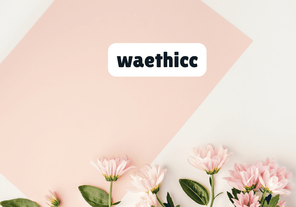 Exploring Waethicc: The New Trend on the Internet