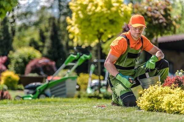 Always Green Landscaping: Myrtle Beach's Leading Lawn Care and Landscaping Experts