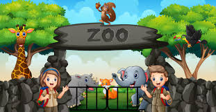 Unveiling Zooskooñ: The Digital Phenomenon Redefining Social Media