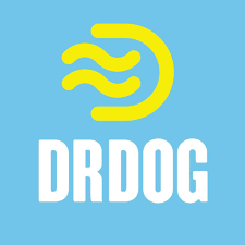 DrDoge: Exploring the Cryptocurrency Project Inspired by Dogecoin