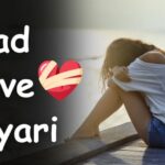 Best 150+ Love Shayari in Hindi | हिंदी में लव शायरी